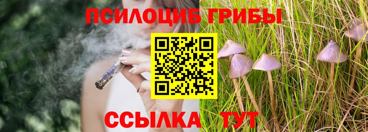 Псилоцибиновые грибы MAGIC MUSHROOMS Кириши